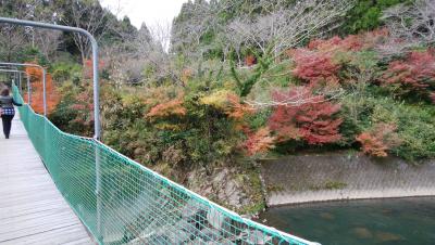 友達と紅葉を見に行ってみました