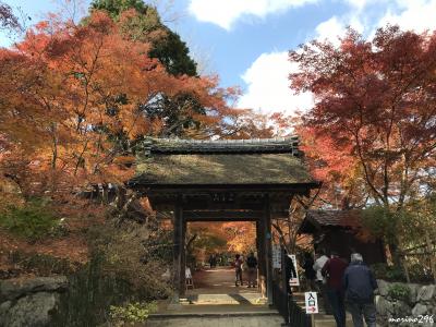 関西の紅葉めぐり2017（２）湖南三山：善水寺・長寿寺・常楽寺