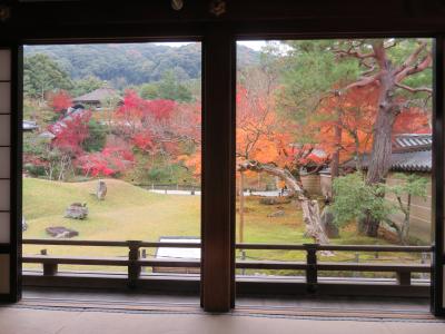 京都の紅葉ー高台寺ー