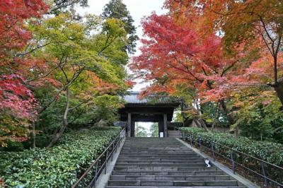 秋の鎌倉 #1 : 北鎌倉駅から、紅葉が見頃の臨済宗大本山 円覚寺へ