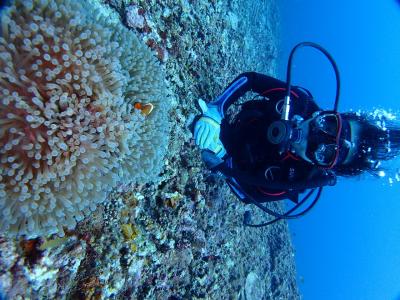 マンタと遭遇ダイビング