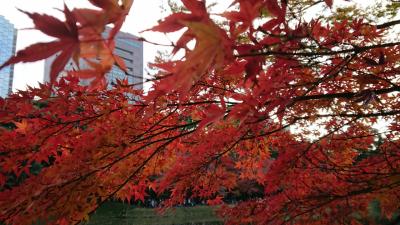 2017年11月 水道橋ぶらっと散策♪小石川後楽園の紅葉～東京ドームシティ♪