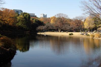 北の丸公園－2017年晩秋