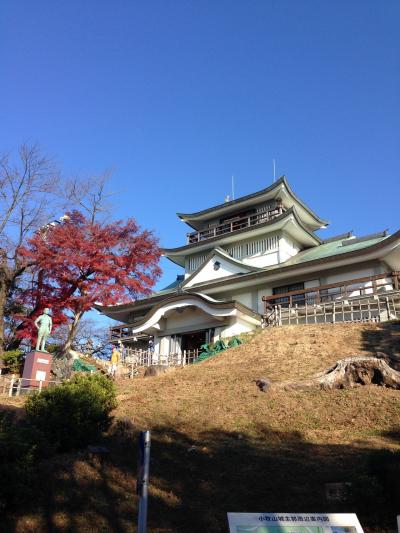 小牧山城～豊田スタジアム～台湾まぜそば