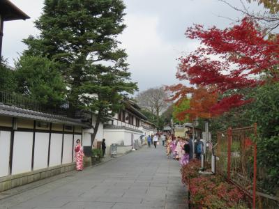 京都の紅葉の旅ーしめくくりと要望ー