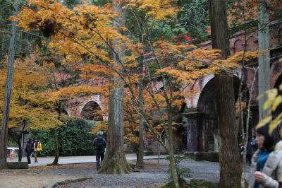 京都へ紅葉を見に行ってきました