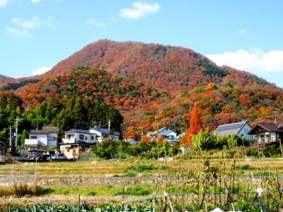 冬の当麻寺と石光寺をたずねて