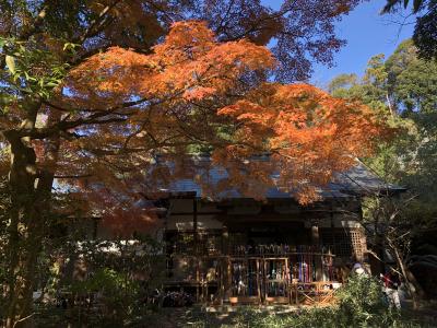 紅葉真っ盛りの円覚寺を訪ねて