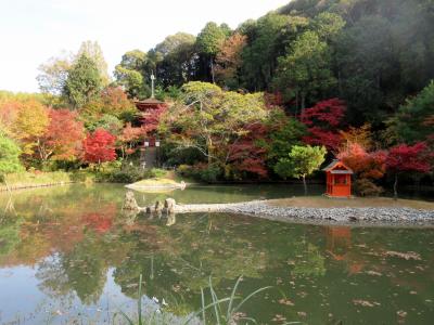 浄瑠璃寺と岩船寺の三重の塔