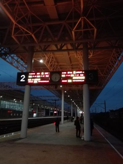 ・・・よくはわからないけど何故か列車で上海に行って帰国