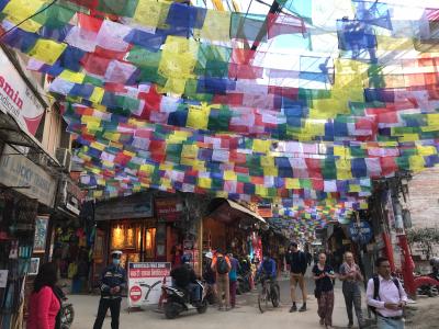 エベレスト街道トレッキング 10 (8日目toカトマンズ)