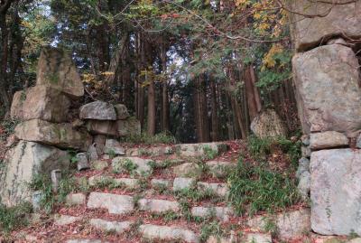 2017秋、滋賀の日本百名城(5/15)：観音寺城(5/7)：石垣、紅葉、椿、虎口、庭園