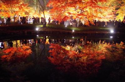 [17]土岐市・曾木公園の逆さモミジ