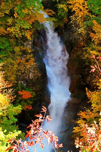 上信越-9　秋山郷3/6　蛇淵の滝：紅葉*ミニハイク　☆清瀧を展望台から眺め