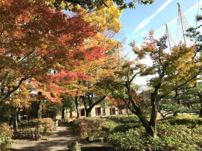 2017秋の旅  一乗谷と福井駅周辺