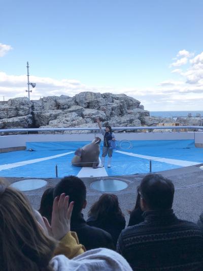 冬の水族館と温泉