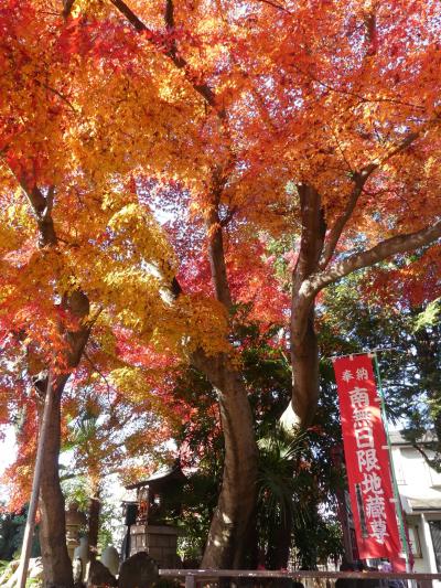 日限地蔵尊 観音院の紅葉_2017（2）_落葉が始まっていますが、まだ綺麗です。（群馬県・桐生市）