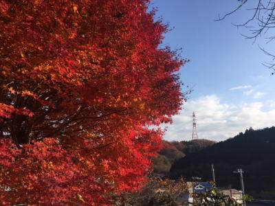 相模湖にある古民家カフェ