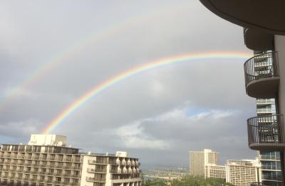 2017  感謝祭 ブラックフライデー バーゲン 4日目   ワードセンター ウォルマート  BLT