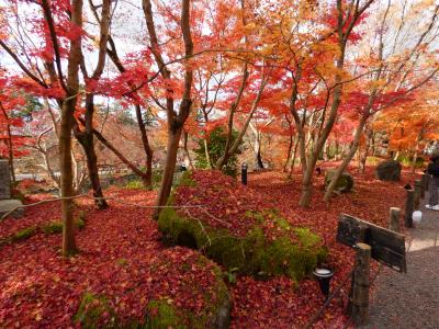 終盤を迎えた京都の紅葉『南禅寺』と『永観堂』には満喫