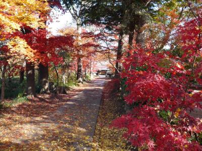 晩秋の興禅院紅葉☆2017/12/05