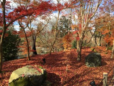 初冬の京都を歩いて巡る