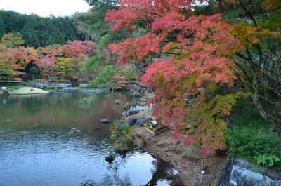 伊豆市へ 3.虹の郷の紅葉(後編) 2017.11.21