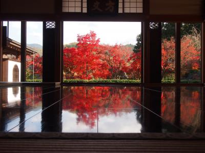 紅葉まつりが行われていた桐生の宝徳寺へ行き、また期間限定の御朱印を頂いてきました