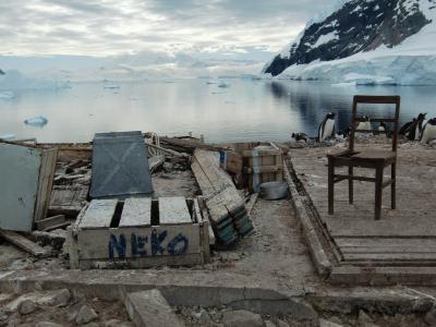 Antarctic Dream号＜空きキャビン利用＞で南極へ　　7日目午後は南極大陸ニコ・ハ－バ－上陸&amp;クル－ズ船上からのダルマンベイ 観察     No8