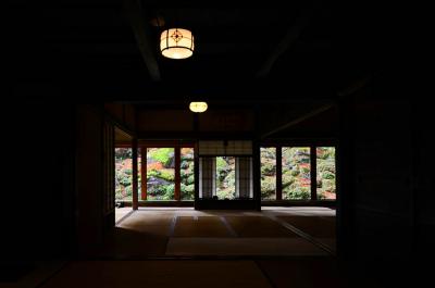 2017紅葉（12）「石の寺」教林坊の紅葉・落葉と庭園