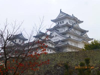 姫路城と　旬の牡蠣