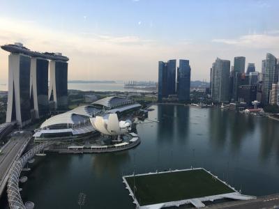 シンガポール航空ビジネスクラスとリッツ・カールトンミレニアシンガポールの旅