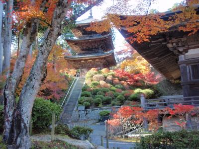 2017年湖南三山紅葉狩り（常楽寺、長寿寺、善水寺）