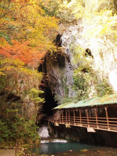 GO WEST!!!&lt;2017&gt; 香川・愛媛・山口・島根・鳥取・京都の旅⑤ ～秋芳洞・南原寺編