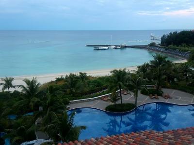 おばさん一人で沖縄、「毎日ふーチャンプルー食べるわよ」大作戦⑤　