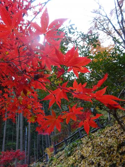 秩父の紅葉狩り　東郷公園秩父御嶽神社