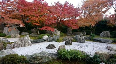 2017京都の紅葉「青龍殿・大舞台・青龍殿庭園」