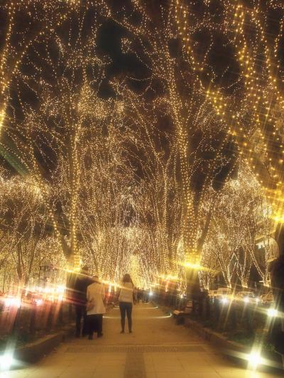 速報！今年もまたこのシーズンがやってきた～！★☆ＳＥＮＤＡＩ光のページェント２０１７☆★