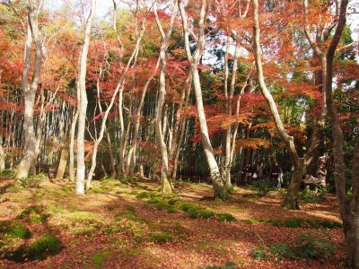 秋の京都2017　一人旅　その１　～渡月橋・二尊院・祇王寺・りらっくま茶房～