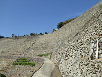 初秋の愛媛旅行♪　Vol10(第2日)　☆宇和島：美しい「遊子水荷浦の段畑」優雅に歩く♪