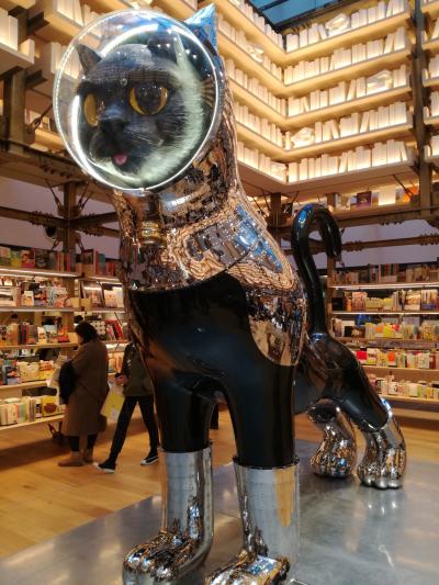 Ginza Sixの蔦屋に現る話題のShip's Cat 12月28日まで展示』銀座・有楽町・日比谷(東京)の旅行記・ブログ by  jalan☆jalanさん【フォートラベル】