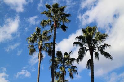 宮崎神宮、宮崎県護国神社に参拝。JR宮崎空港線に乗り、宮崎空港を楽しむ。