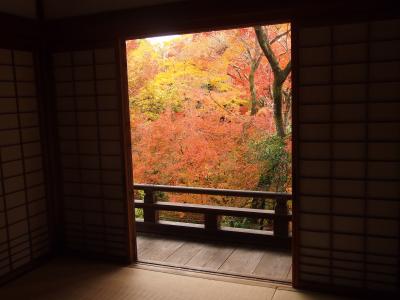 秋の京都2017　一人旅　その２　～清凉寺、宝筐院、厭離庵、大覚寺～
