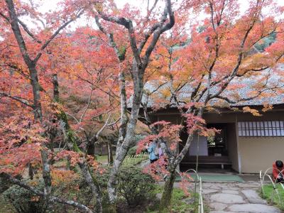 国の名勝「九年庵」特別公開と神埼ウォーキング