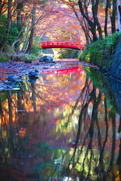 ぶらりと晩秋の小國神社へ