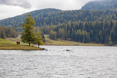 2017年 秋色のスイス（15）ムオタス・ムライユへ上るも生憎の天気、荷造りに精を出す