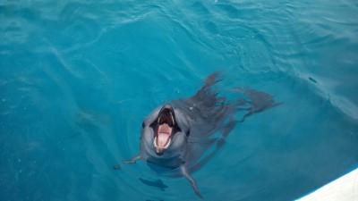 ５歳児と行く沖縄、初夏の旅　②日目