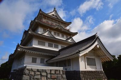 千葉県：亥鼻城、館山城、佐倉城