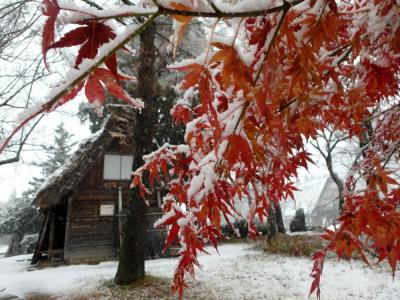 雪混じりの白川郷、飛騨高山