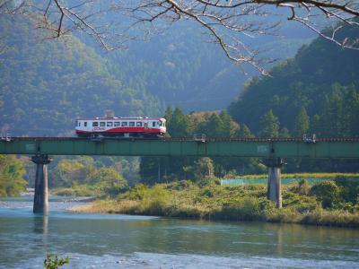 【ＪＲ東海＆16私鉄 乗り鉄★たびきっぷ】で行く秋の旅　その５『樽見鉄道で乗り倒し・前編』